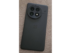 Oneplus 13