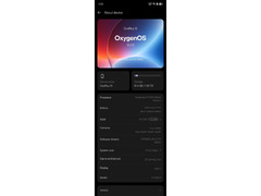 Oneplus 13